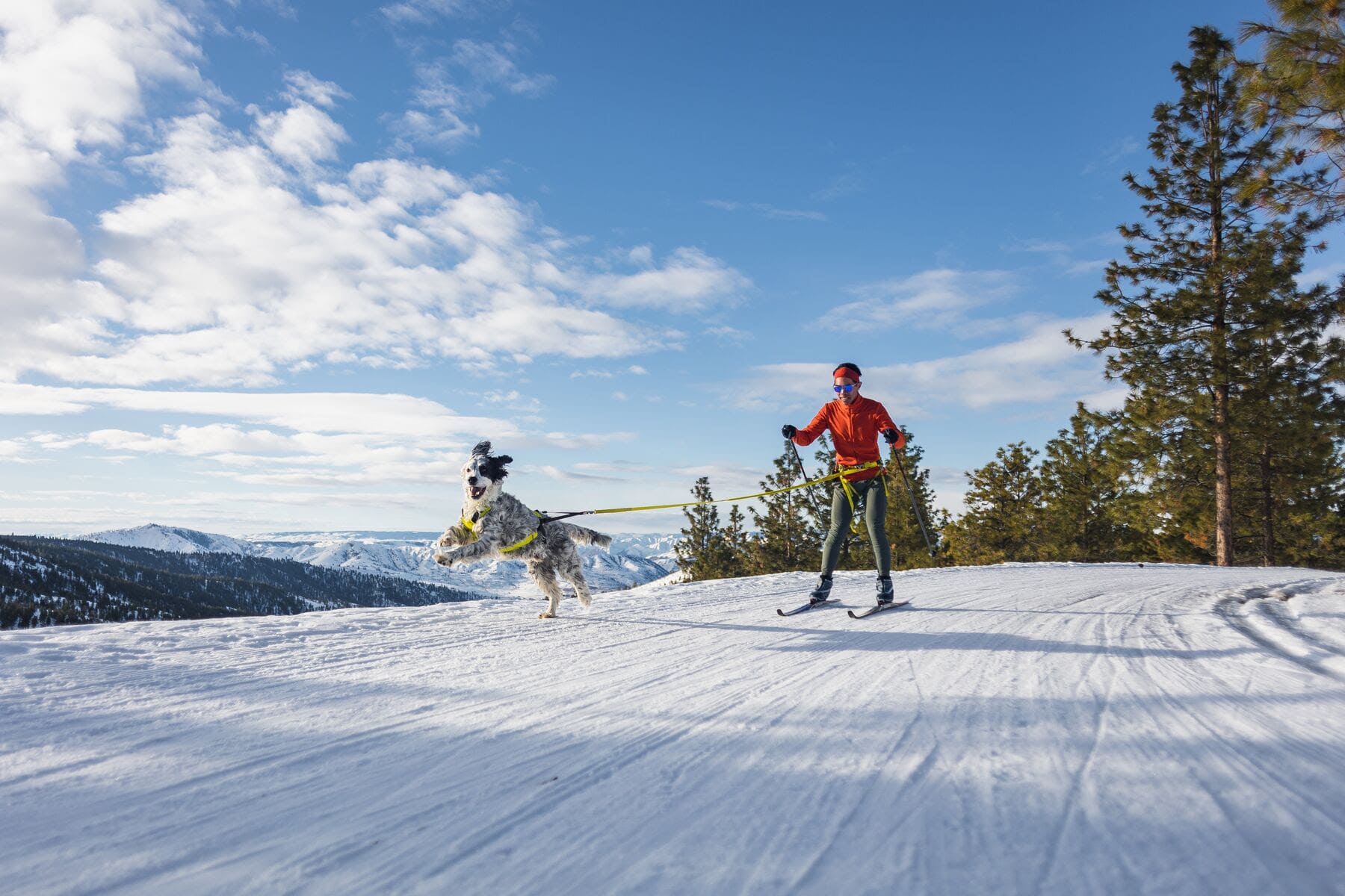 Testé sur le terrain, Ruffwear